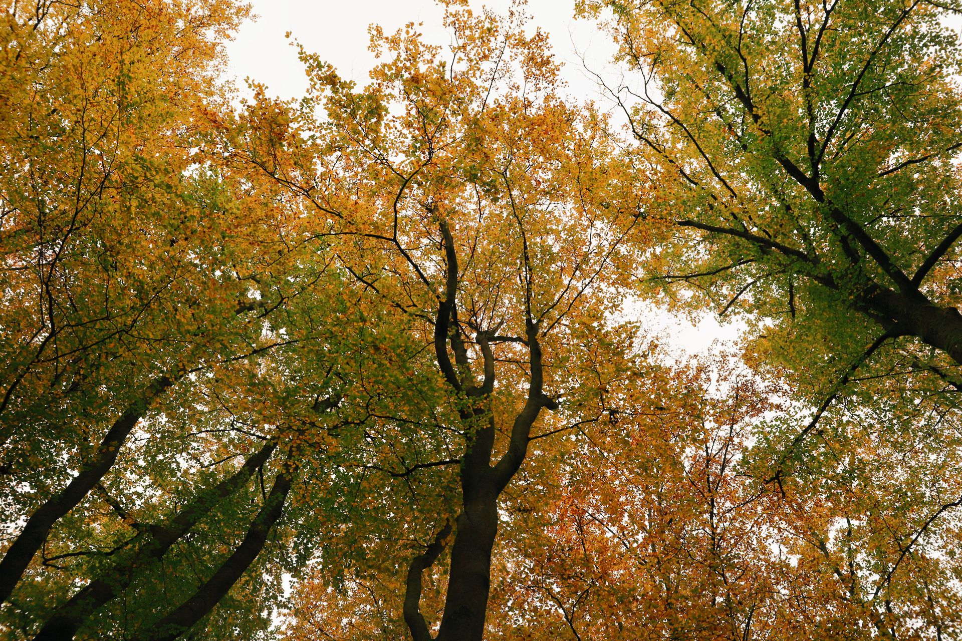 Forestry &Agricultural Infrastructure
